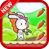 Rabbit Running - Free Fun Jump & Run Games Pro