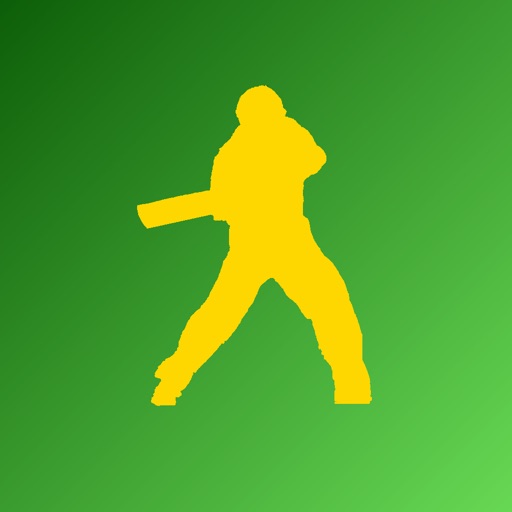 Name It! - South Africa Cricket Edition icon