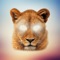 Icon Animal Face - Selfie Editor & Stickers for Pictures