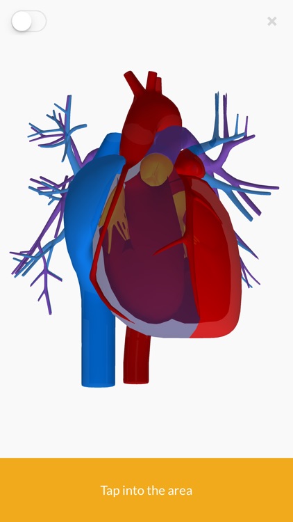 3D Anatomy teachr