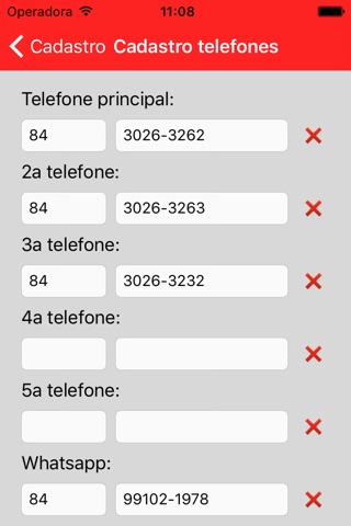 Cliente Telepesquisa screenshot 3