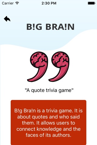 Big Brain screenshot 2
