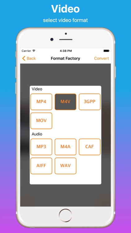Video Format Factory Pro