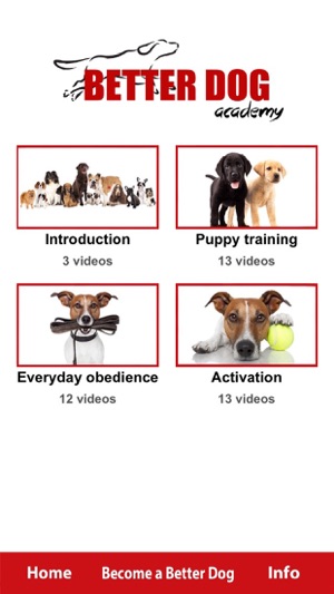 Better Dog Academy