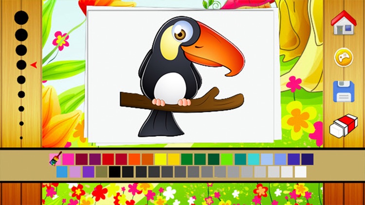 Birds Coloring Book - Drawing and Painting Colorful for kids games free