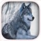 Wolf Hunter Challenge 2016