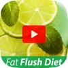 Best Fat Flush Diet Guide for Beginners - Fast & Easy Weight Loss Program Ever Found