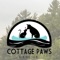 Welcome to the Cottage Paws Rescue App