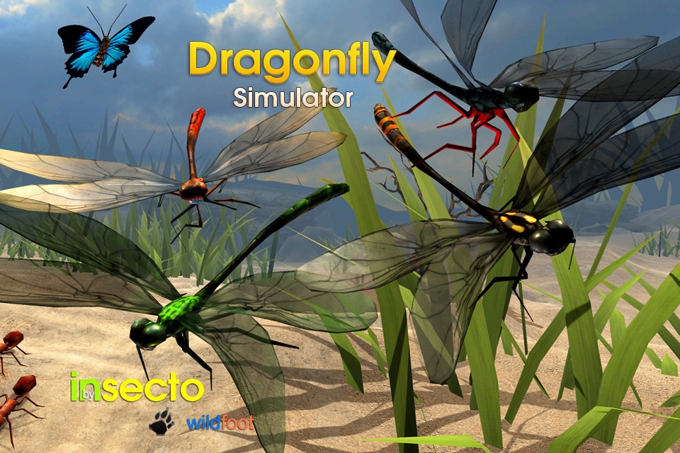 Dragonfly Simulator screenshot 2