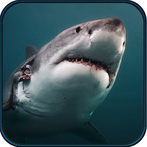 Hunting Shark 2023: Hungry Sea Monster for apple instal free