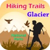 Hiking Trails Glacier National Park