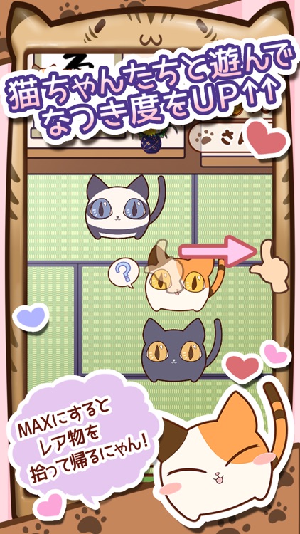 ねもこれ ～猫が持って来た物コレクション～