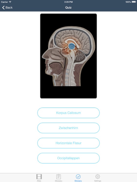 Anatomie & Physiologie Animationen