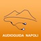 Audioguide Naples stems from a decade of experience as tour guides and lets you discover the sites and monuments of the city of Naples