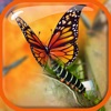 Blender Camera Effect – Edit & Blend Photo.s with Overlap Effects in Superimpose Studio Blender Camera Effect – Edit & Blend Photo.s with Overlap Effects in Superimpose Studio