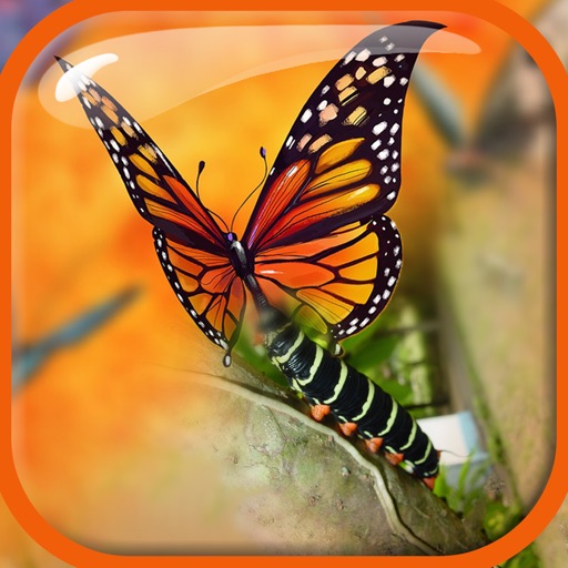 Blender Camera Effect –  Edit & Blend Photo.s with Overlap Effects in Superimpose Studio iOS App