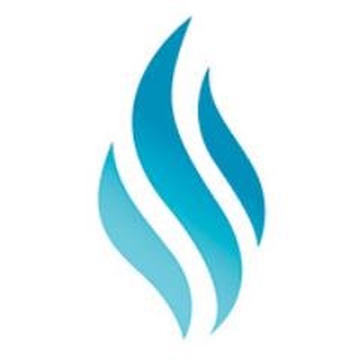 Words Swipe : American Slang, Idioms, verbs