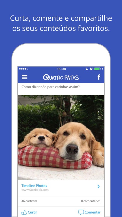 Quatro Patas