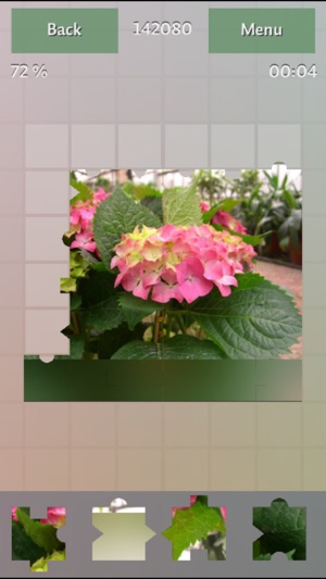 Flowers Colors Puzzles(圖4)-速報App