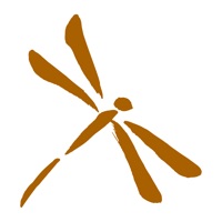 Guldsmeden review app PC 용