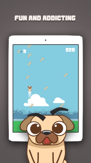 Fly Pug Fly Pro(圖1)-速報App