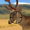 Deer Hunting - free DeerHunter and Deer Hunt Games