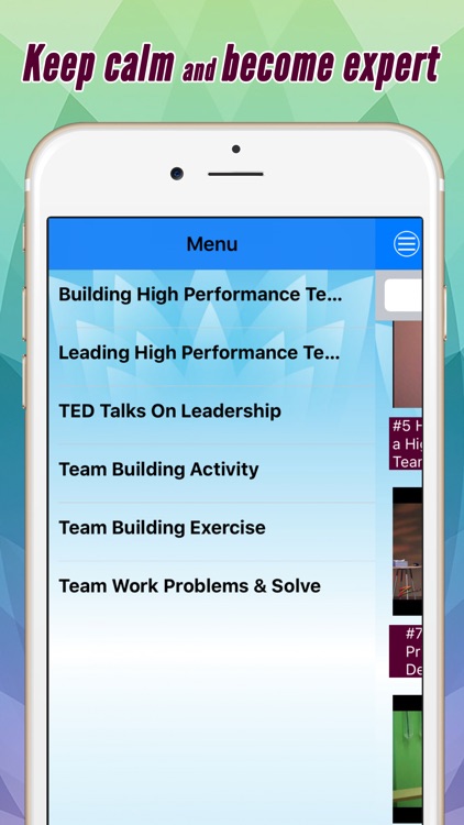 Video Training For Leading And Working In Team (PRO)