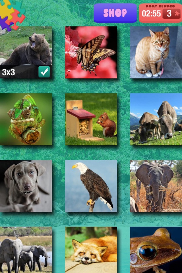 Animal Jigsaw Puzzle – Free Memory, Brain Exercise Game For Kids and Adult.s screenshot 3