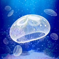 治癒系海蜇養成遊戲 sur PC