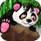Bamboo Clash Fighter of Panda Bloom Survival Game