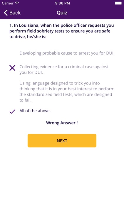 Louisiana DWI screenshot-3