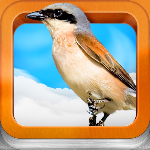 Atlas ptáků pro děti icon