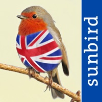 All Birds UK - A Complete Field Guide to the Official List of Bird Species Recorded in Great Britain and Northern Ireland apk