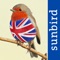 *** Do you plan to go bird watching in the UK