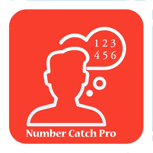 Number Catch Pro Icon