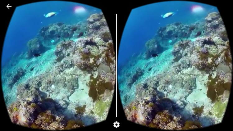Scuba Diver VR - Virtual Reality Tour 360 degrees 3D