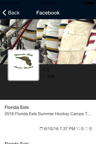 Florida Eels screenshot 3