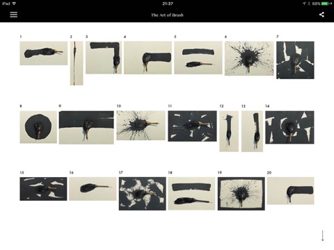 The Art of Brush, for iPad screenshot 2