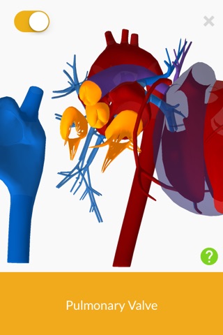 3D Anatomy teachr screenshot 2