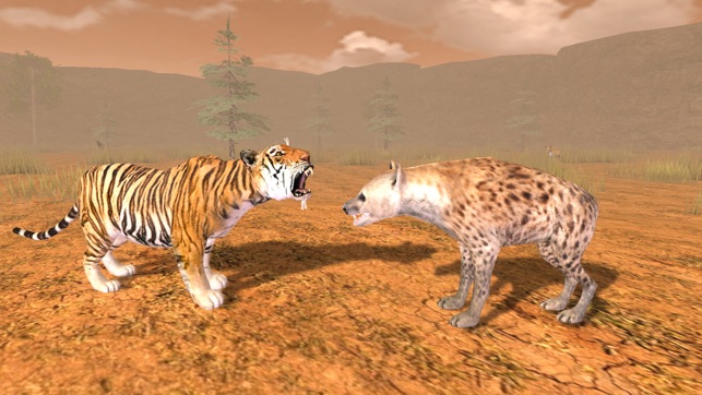 Hungry Tiger 3D