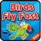 Birds Fly Fast - Free Game for Kids