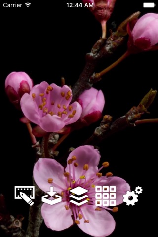 Live Wallpapers - Dynamic Backgrounds and Moving Lock Screens screenshot 3