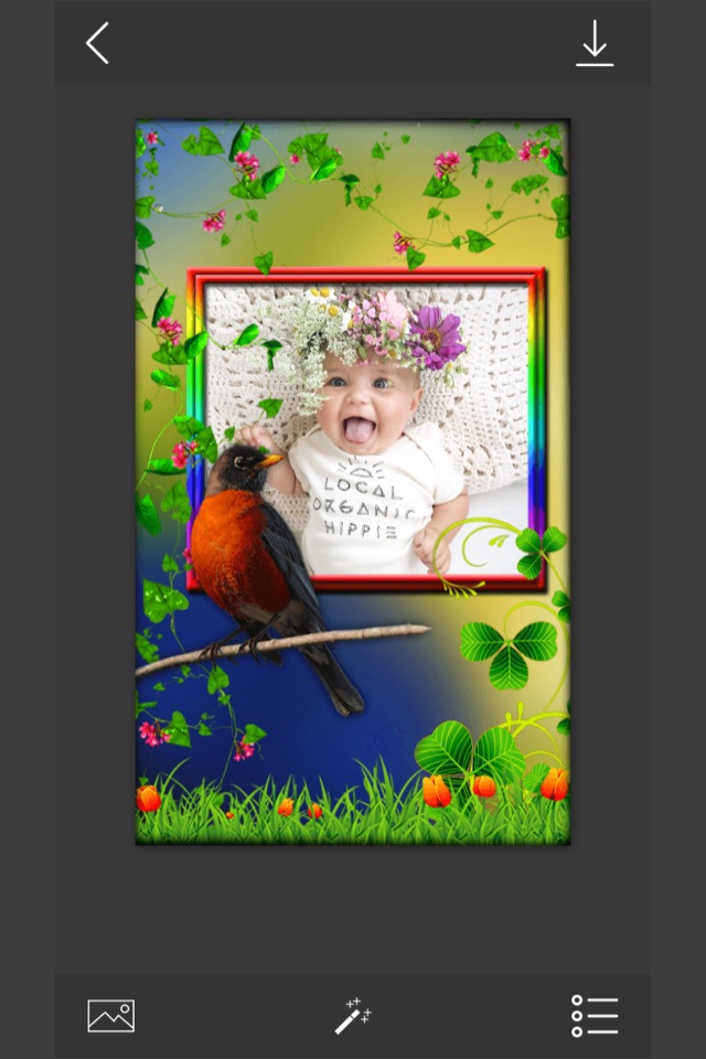 Bird Photo Frames - Make awesome photo using beautiful photo frames screenshot 2