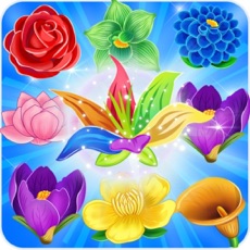 Activities of Flower Color Garden 2