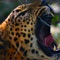 Wild Animal Predator Hunting 3d Pro – Jungle Sniper