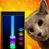 Laser pointer : tease your cat prank