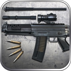 Activities of SIG 552 Assault Rifle: Time to Kill - Lord of War