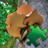 Mushrooms Puzzles