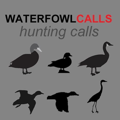 Waterfowl Hunting Calls LITE- The Ultimate Waterfowl Hunting Calls App For Ducks, Geese and Sandhill Cranes icon