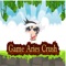Game Aries Crush